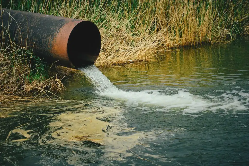 Bacteria transforma contaminantes de aguas residuales en tesoros químicos