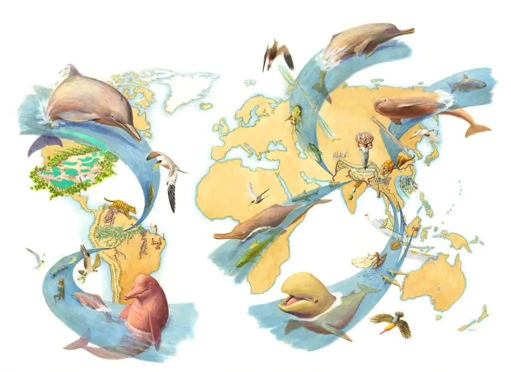 Países de América y Asia firman un acuerdo para proteger a los delfines de río
