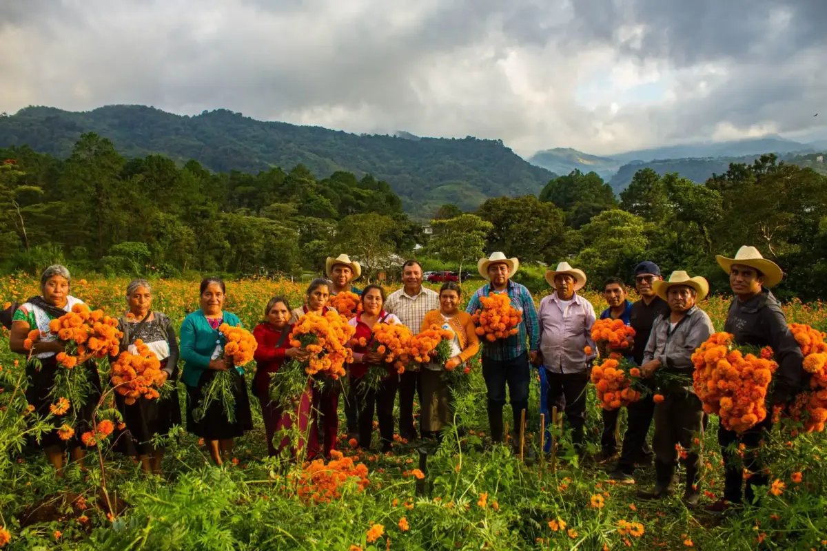 Floricultores de Puebla