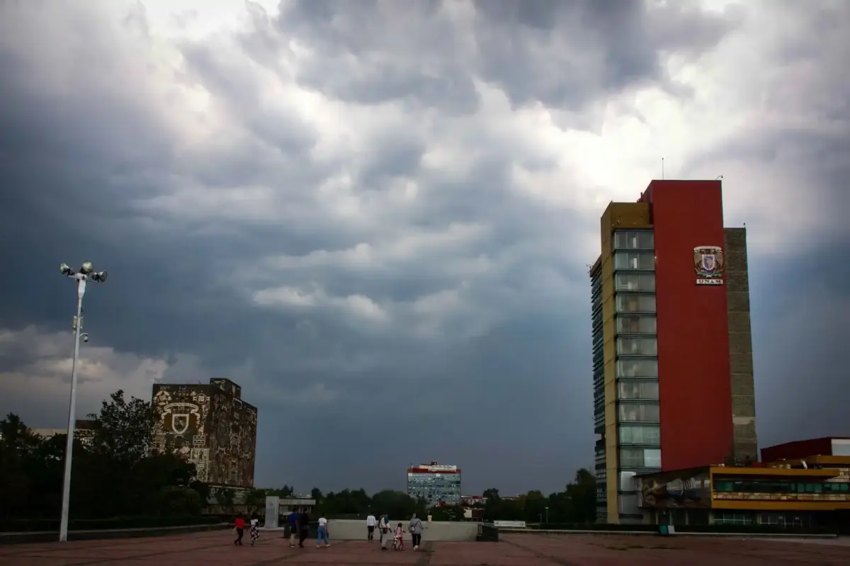 La UNAM suspende clases presenciales para combatir plaga de chinches