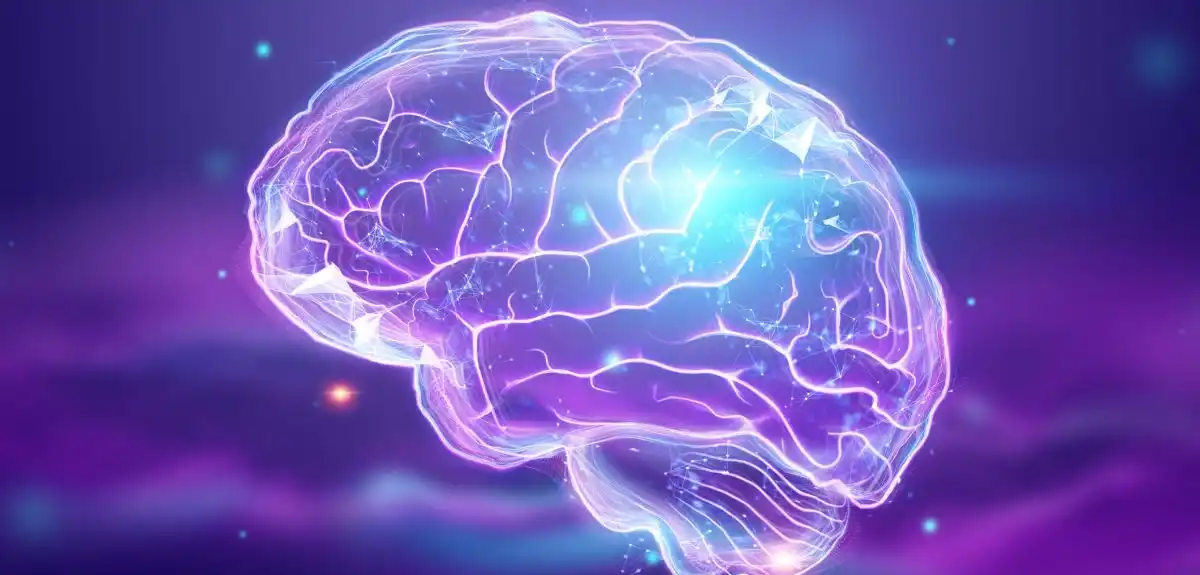 lesiones cerebrales tejido 3d