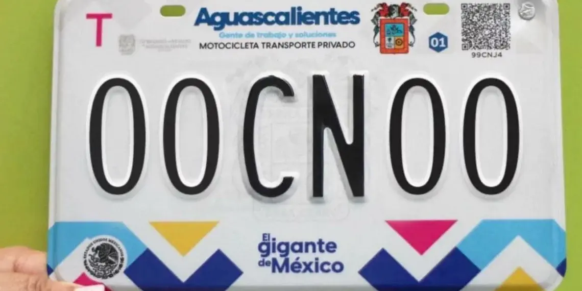 Cambio de placas, necesario para la seguridad: Tere Jiménez