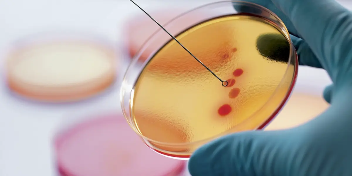 Antibióticos: la pandemia silenciosa que pone en riesgo a la niñez