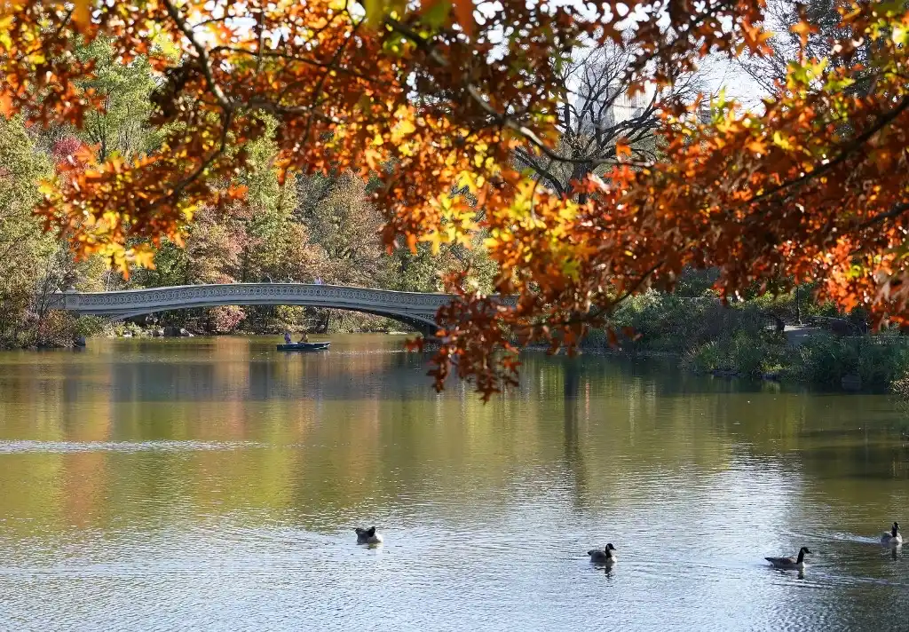 Otoño en Central Park