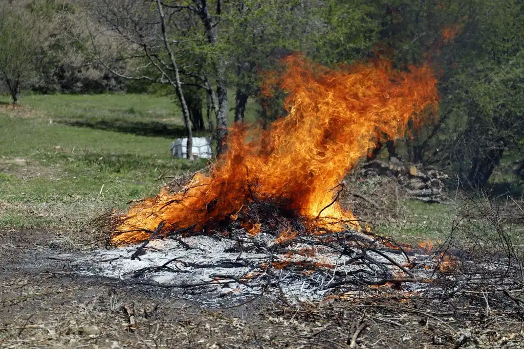 Fuego controlado