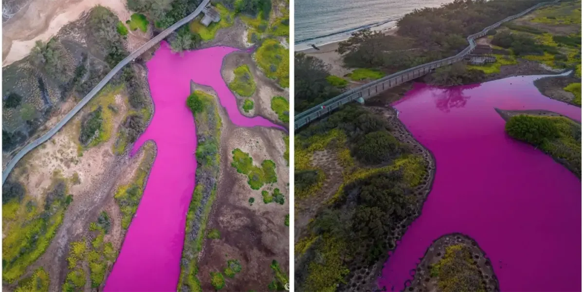 Laguna rosa