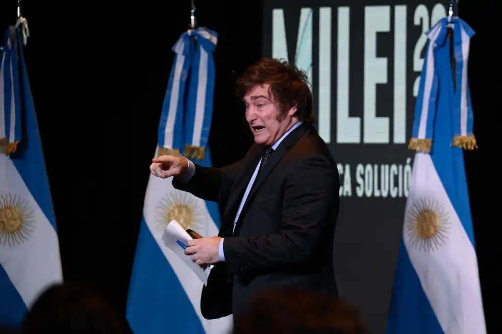 Milei privatizaciones
