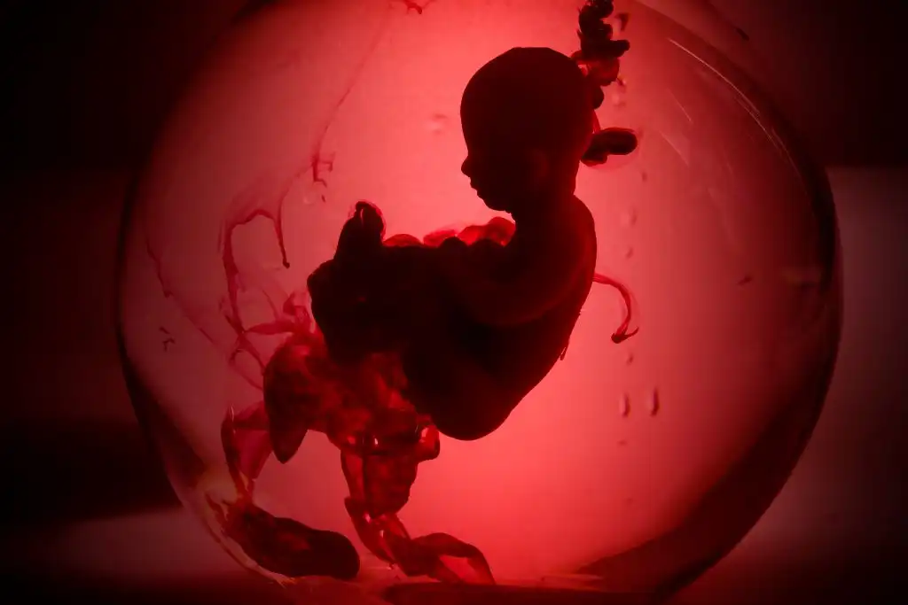 Ohio aborto