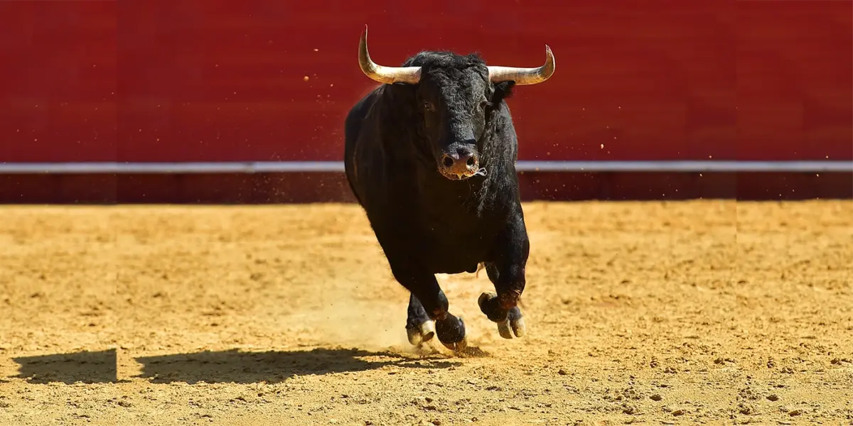 toreo