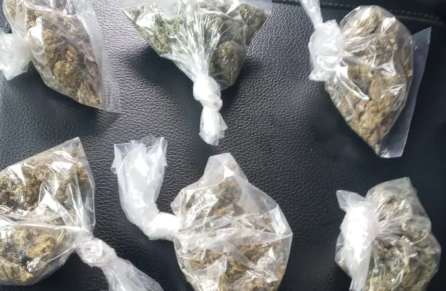 Marihuana, cocaína y metanfetaminas, las drogas que prevalecen en Aguascalientes