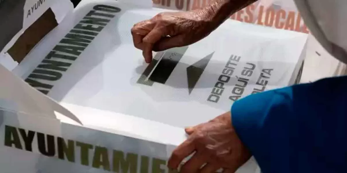 candidaturas federales