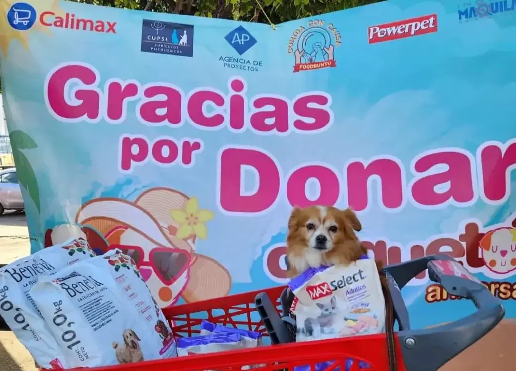 Croquetón