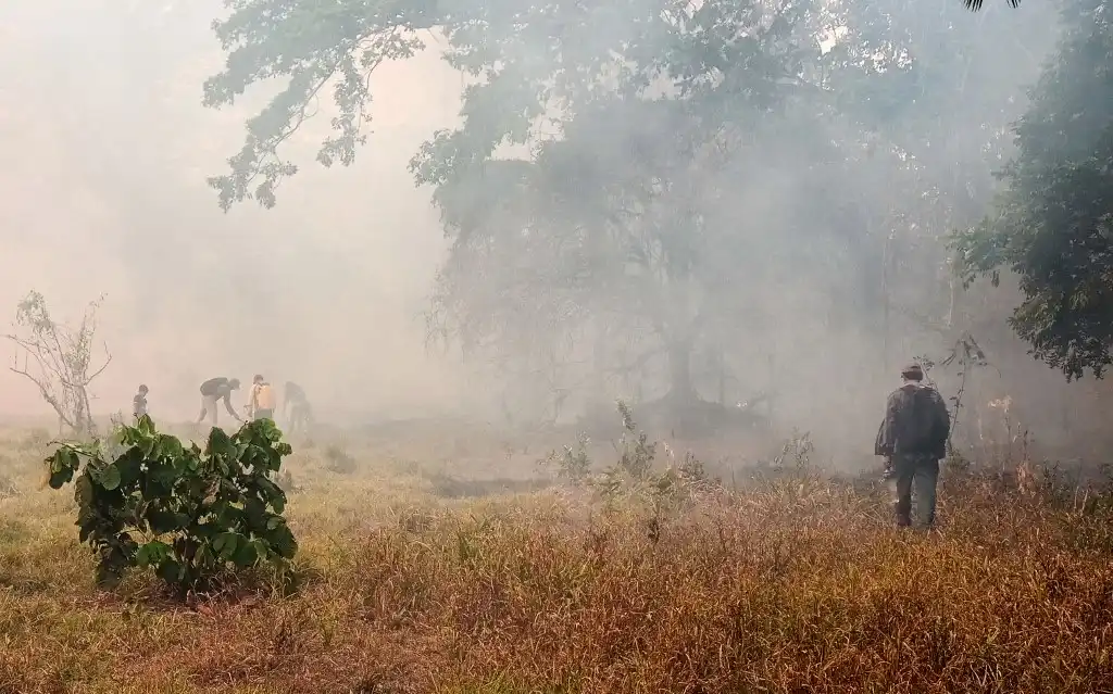 incendios