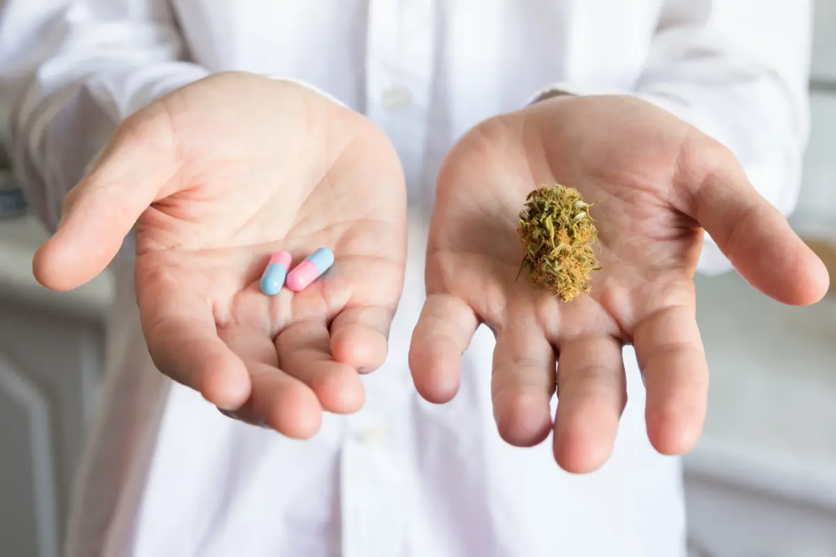 Los productos de cannabis son cada vez más potentes y diversos: informe