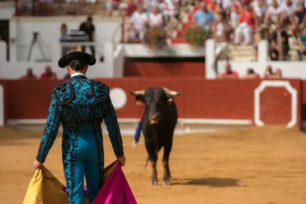 Consulta ciudadana corridas de toros