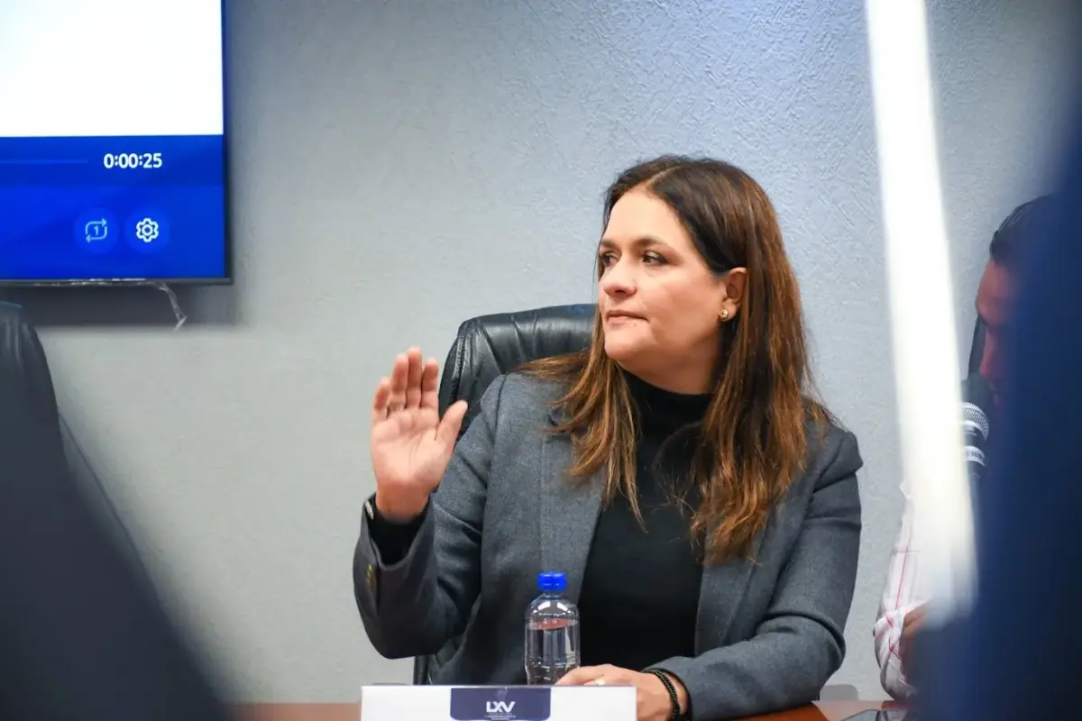 En Aguascalientes, nueva reforma del PAN respetará mandato de la SCJN: diputada
