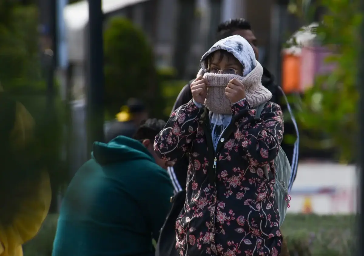 Gripe y resfriado diferencias