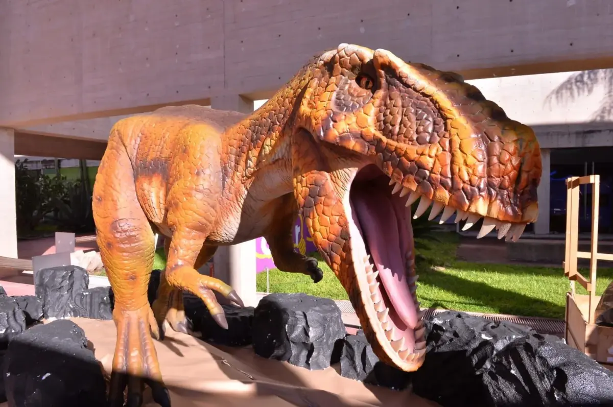 Llegan los Dinosaurios al Museo Bebeleche