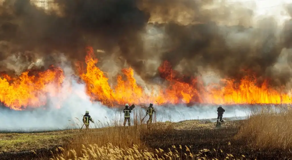 Un año catastrófico por los incendios forestales: dejan en la atmósfera toneladas de CO2
