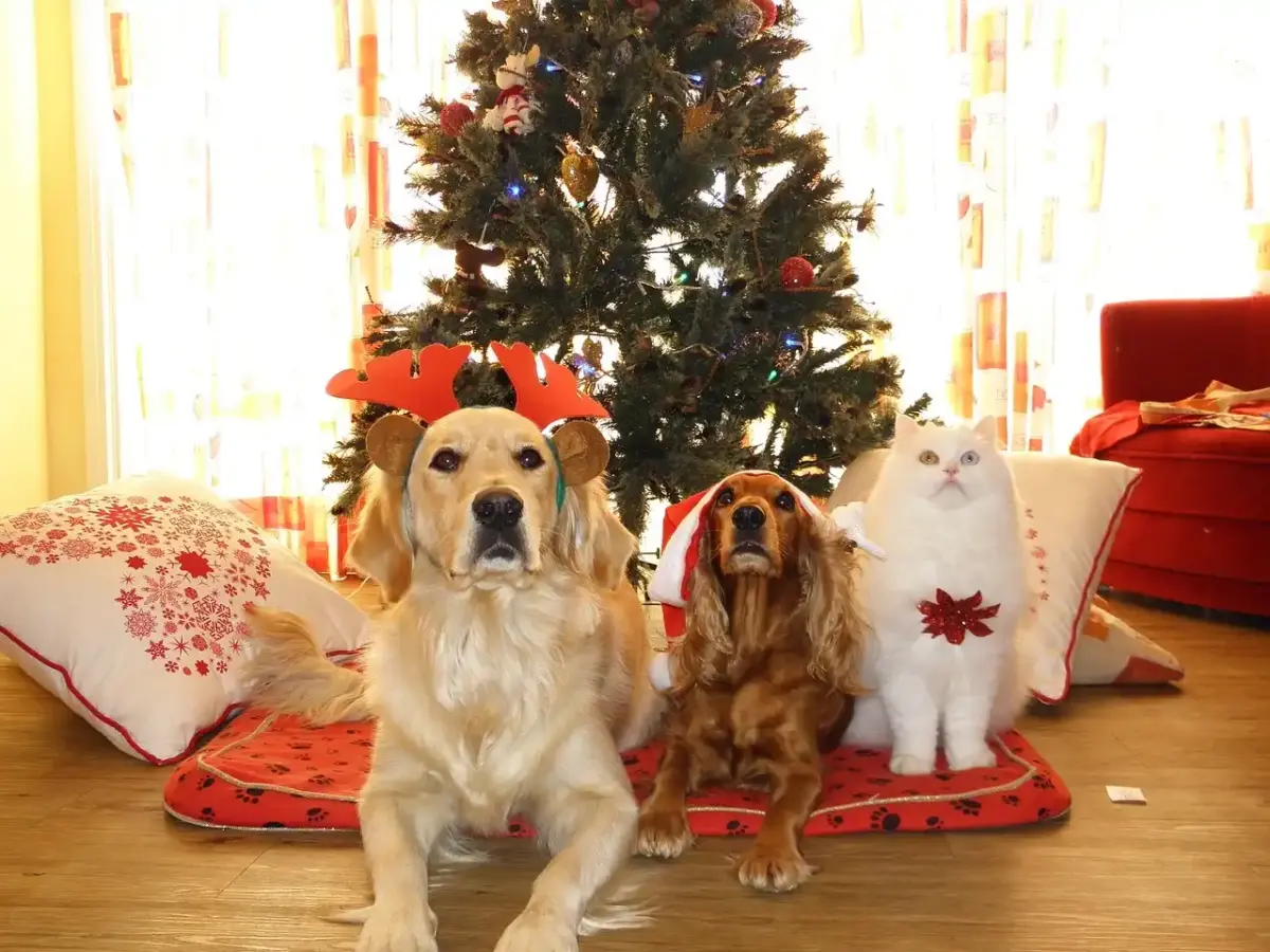Mascotas Navidad