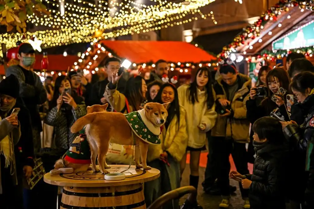 Perritos navideños