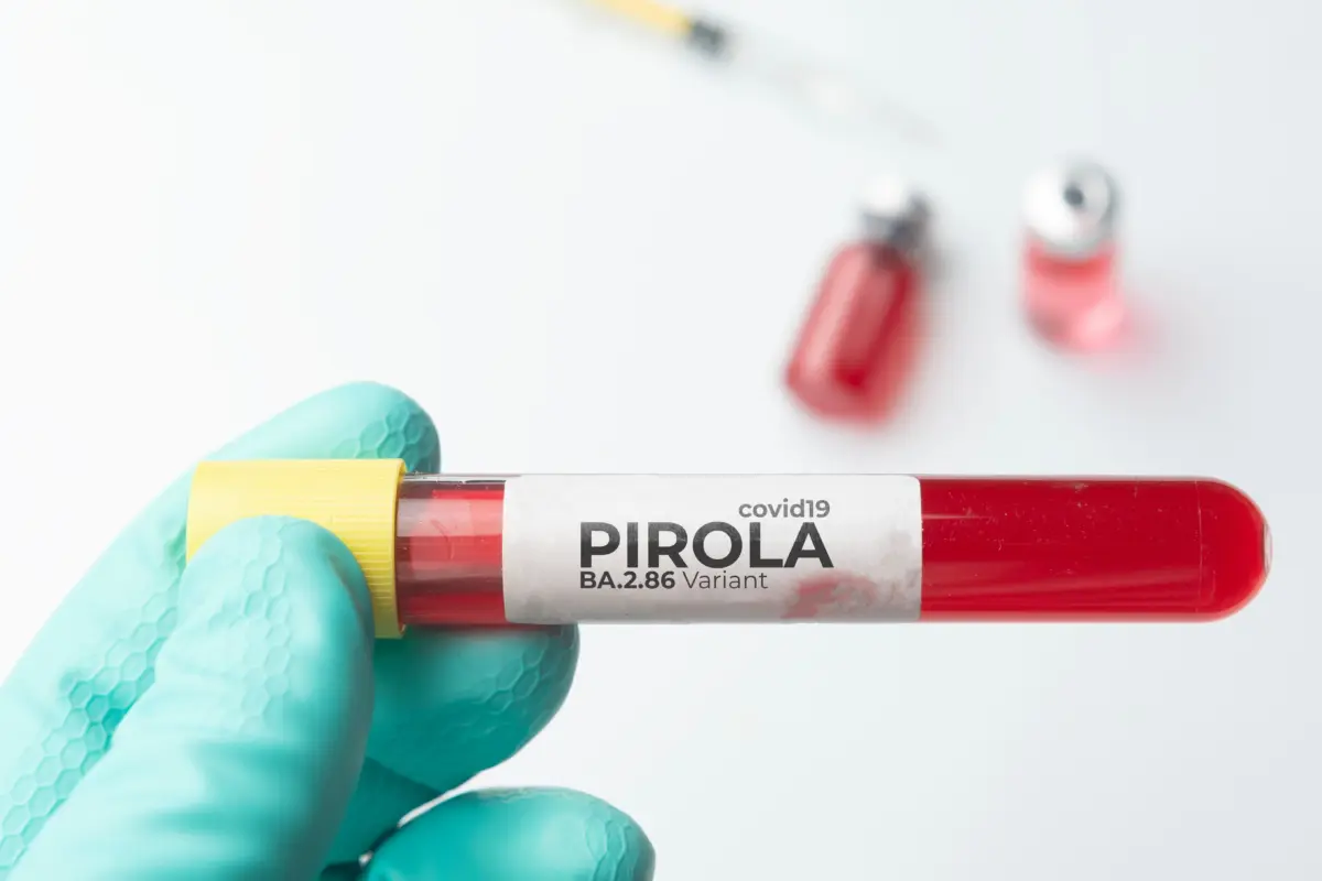 Pirola covid-19