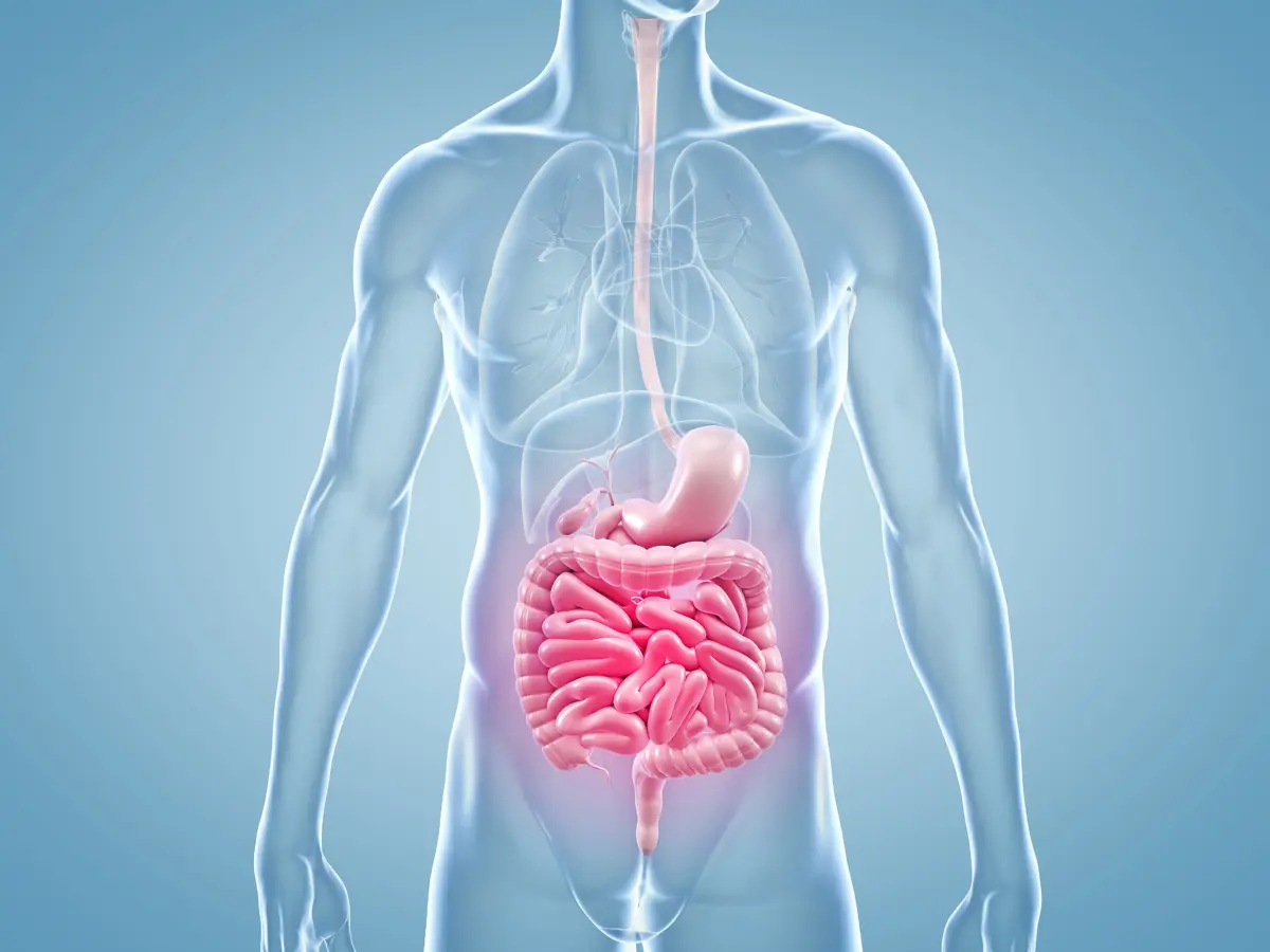 Este estudio puede decirte qué órgano de tu cuerpo fallará primero
