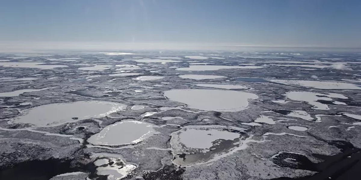 permafrost virus