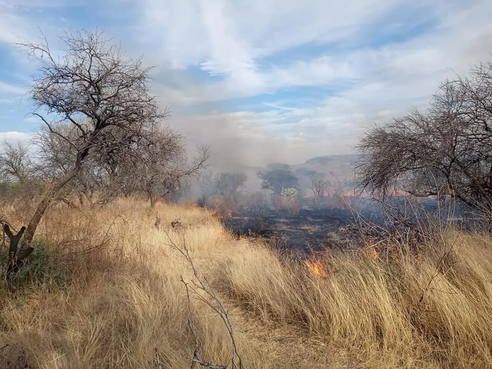 Incendio en Bosque de Cobos.