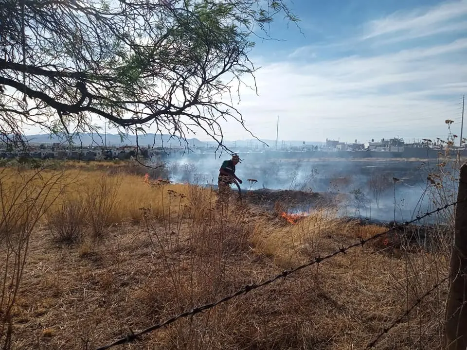 Incendio en Bosque de Cobos.