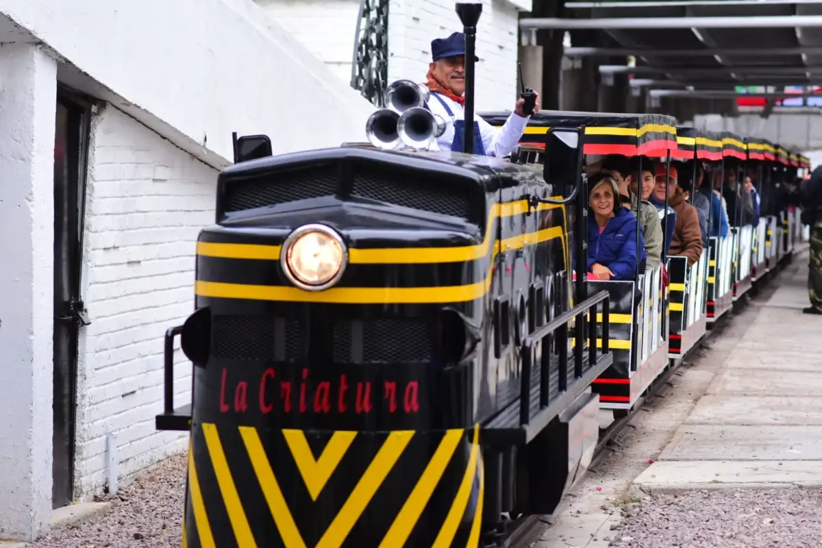 Tren Parque Hidalgo