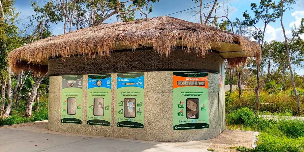 AJEMEX, Fundación FEMSA y Tetra Pak apoyan Educación Ambiental