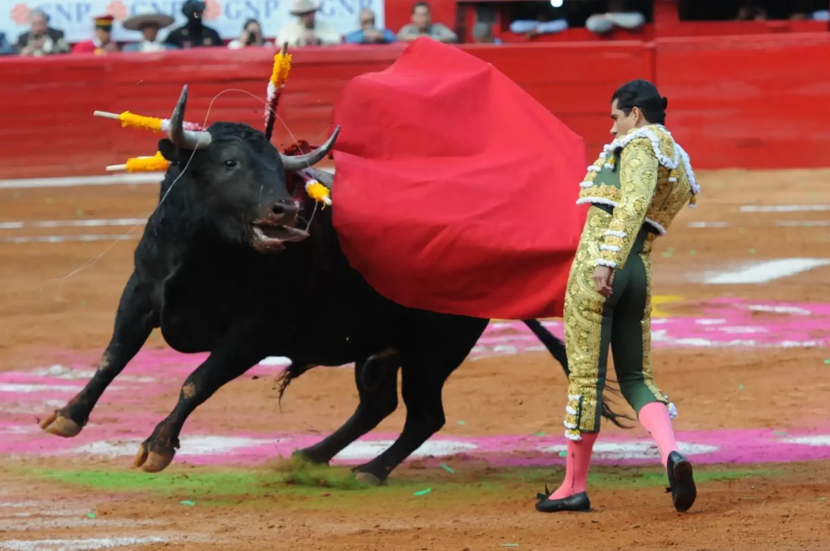 Corridas de toros CDMX