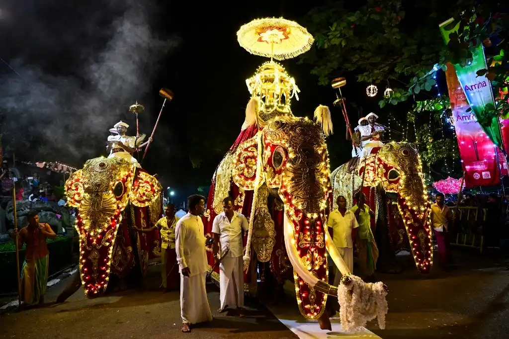 Elefantes en dorado