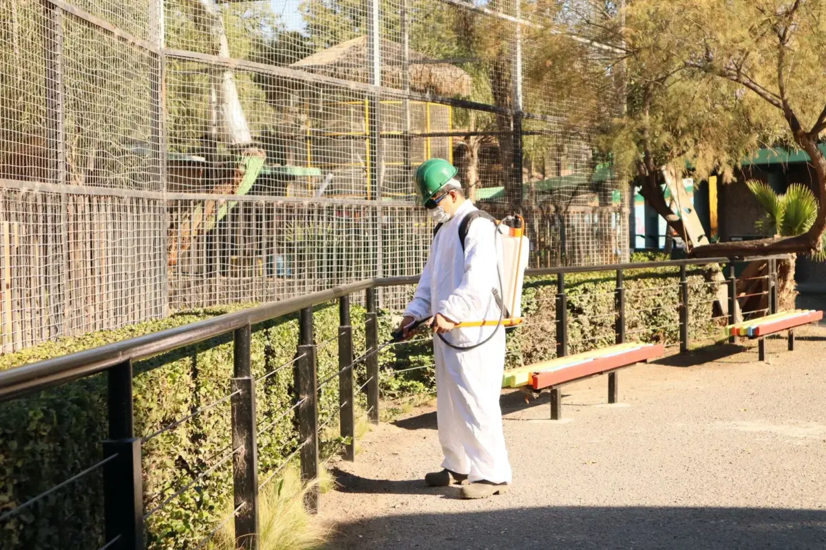 AYUNTAMIENTO FUMIGARÁ HÁBITATS DE ANIMALES EN PARQUE MORELOS