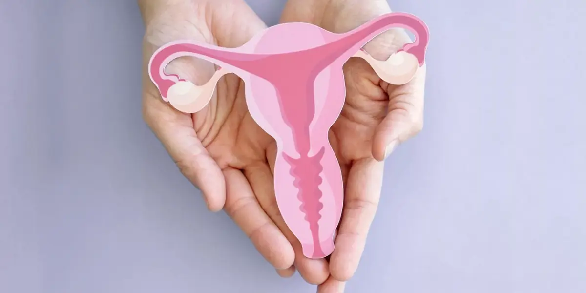Vagina saludable