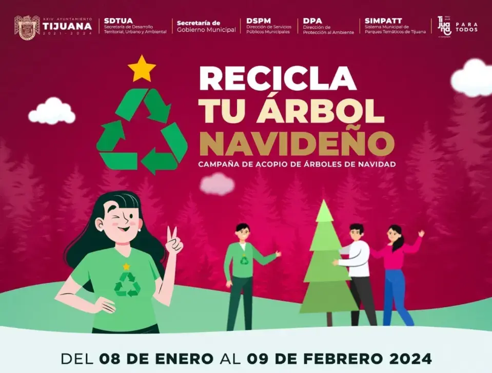 Ayuntamiento de Tijuana habilita 19 centros de acopio para recibir árboles navideños