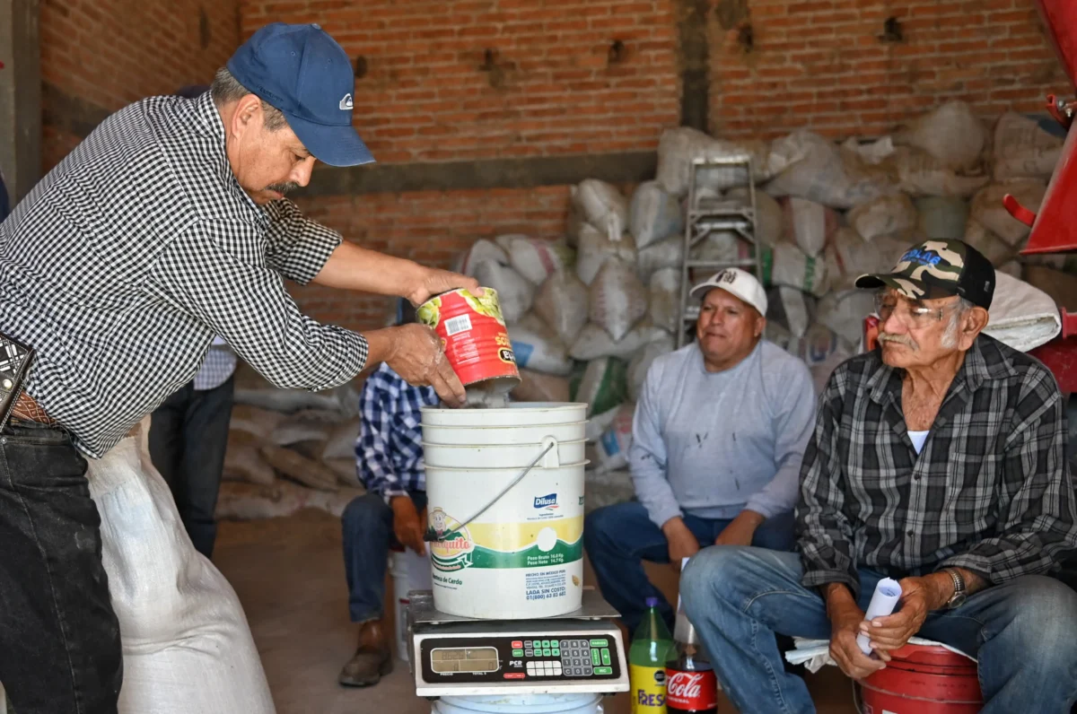 Elaboración de bloques alimenticios.