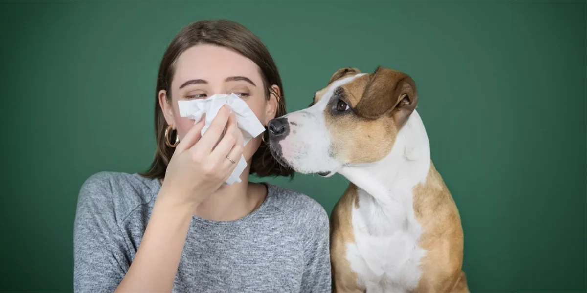 Perros y gatos son más susceptibles a las enfermedades humanas de lo que se creía