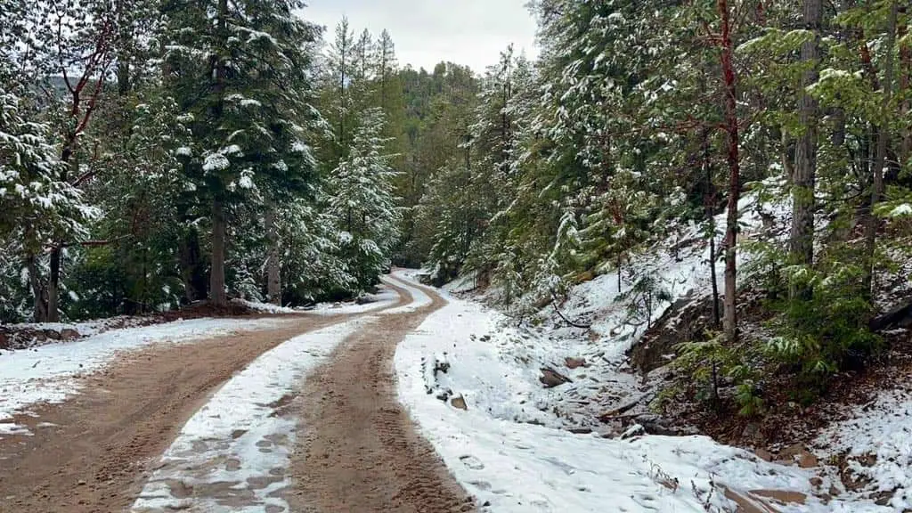 Séptima tormenta invernal provoca nevadas en cuatro municipios