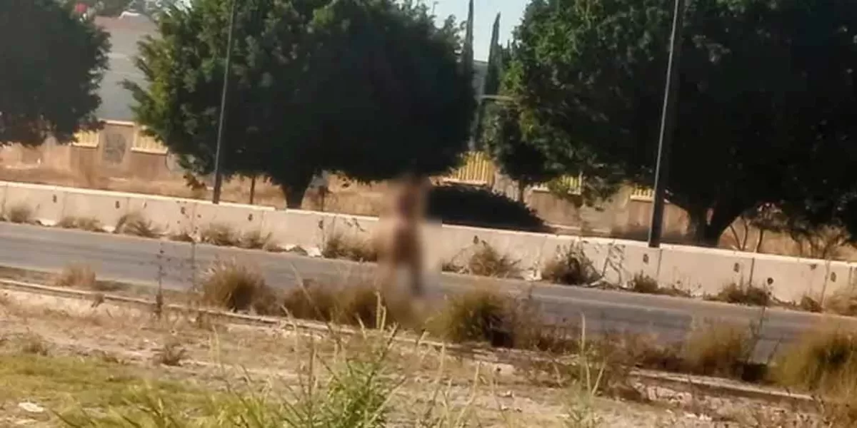 Mujer que caminaba desnuda en Periférico Ecológico estaba secuestrada