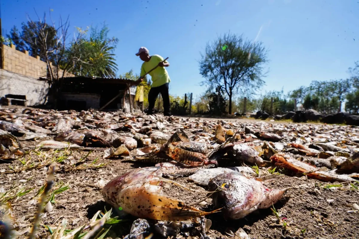 Sequía en Michoacán