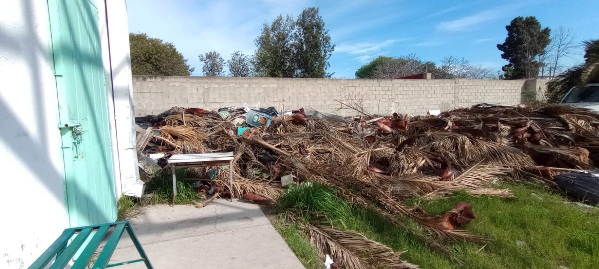 Alumnos de “La Poli” estudian entre basura; Ayuntamiento de Tijuana no la recolecta