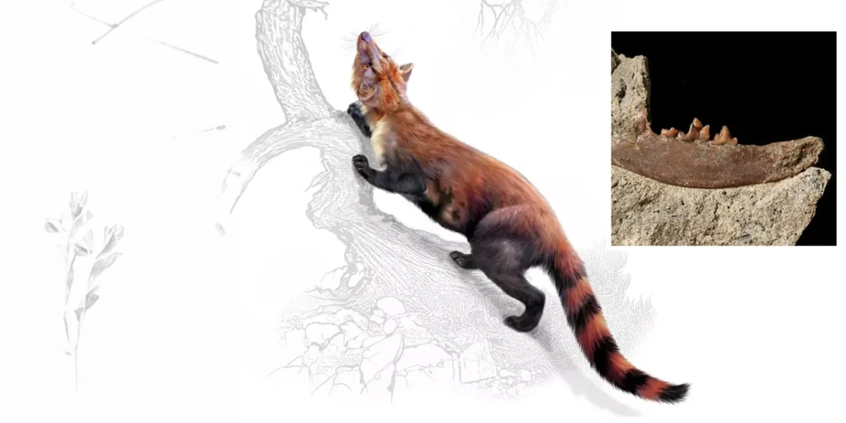 felino prehistórico
