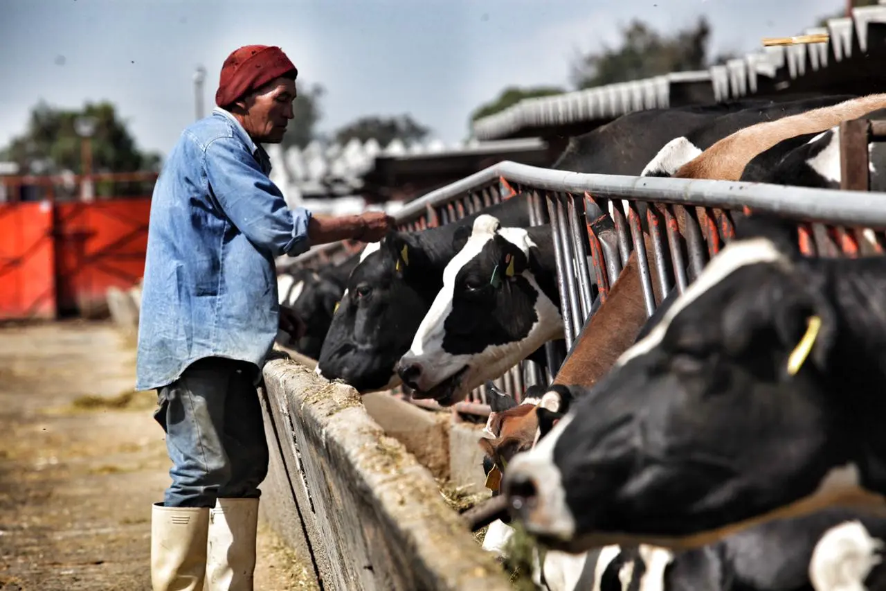 Productores lecheros