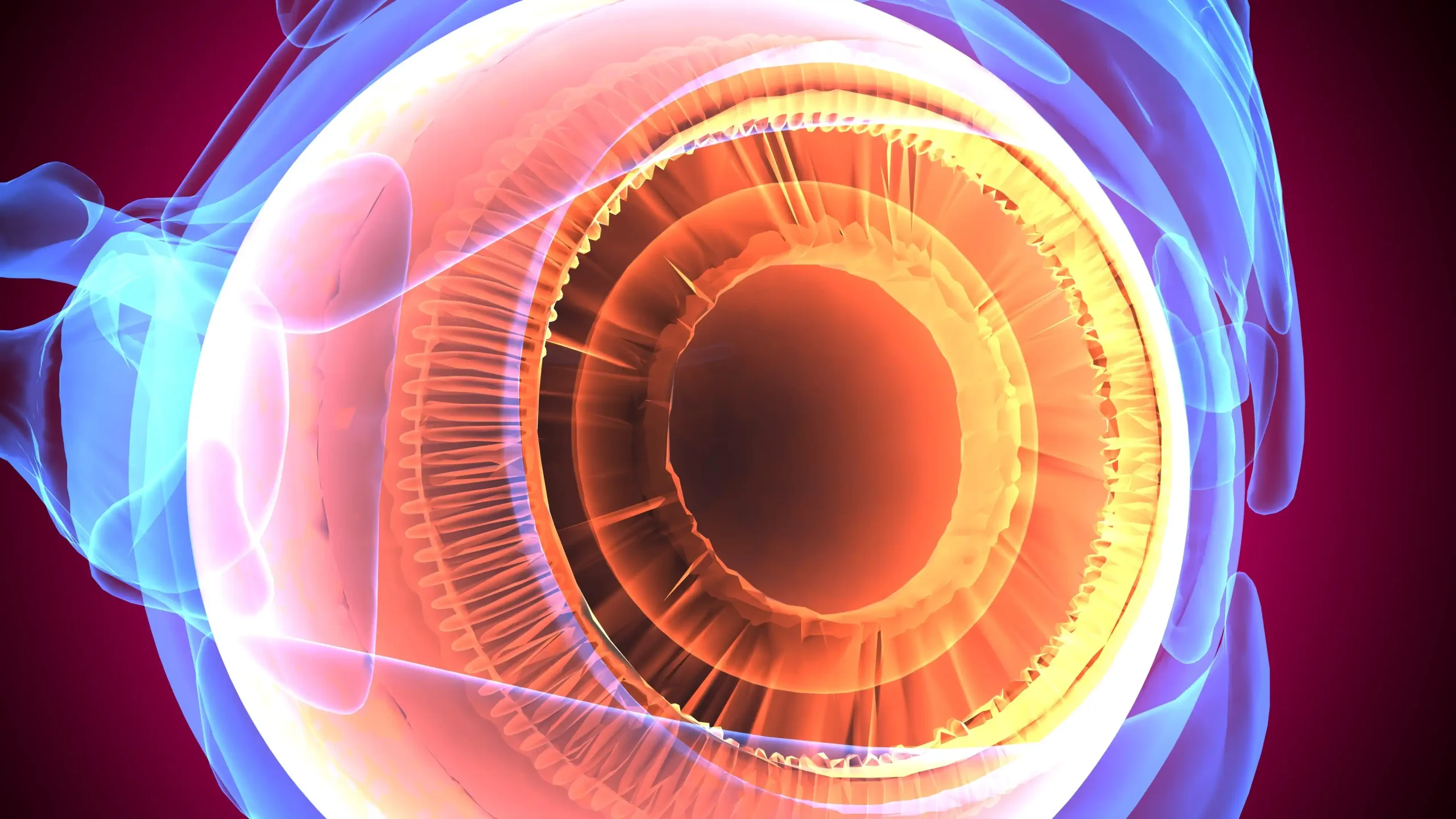 Día Mundial del Glaucoma: el enemigo silencioso de la visión