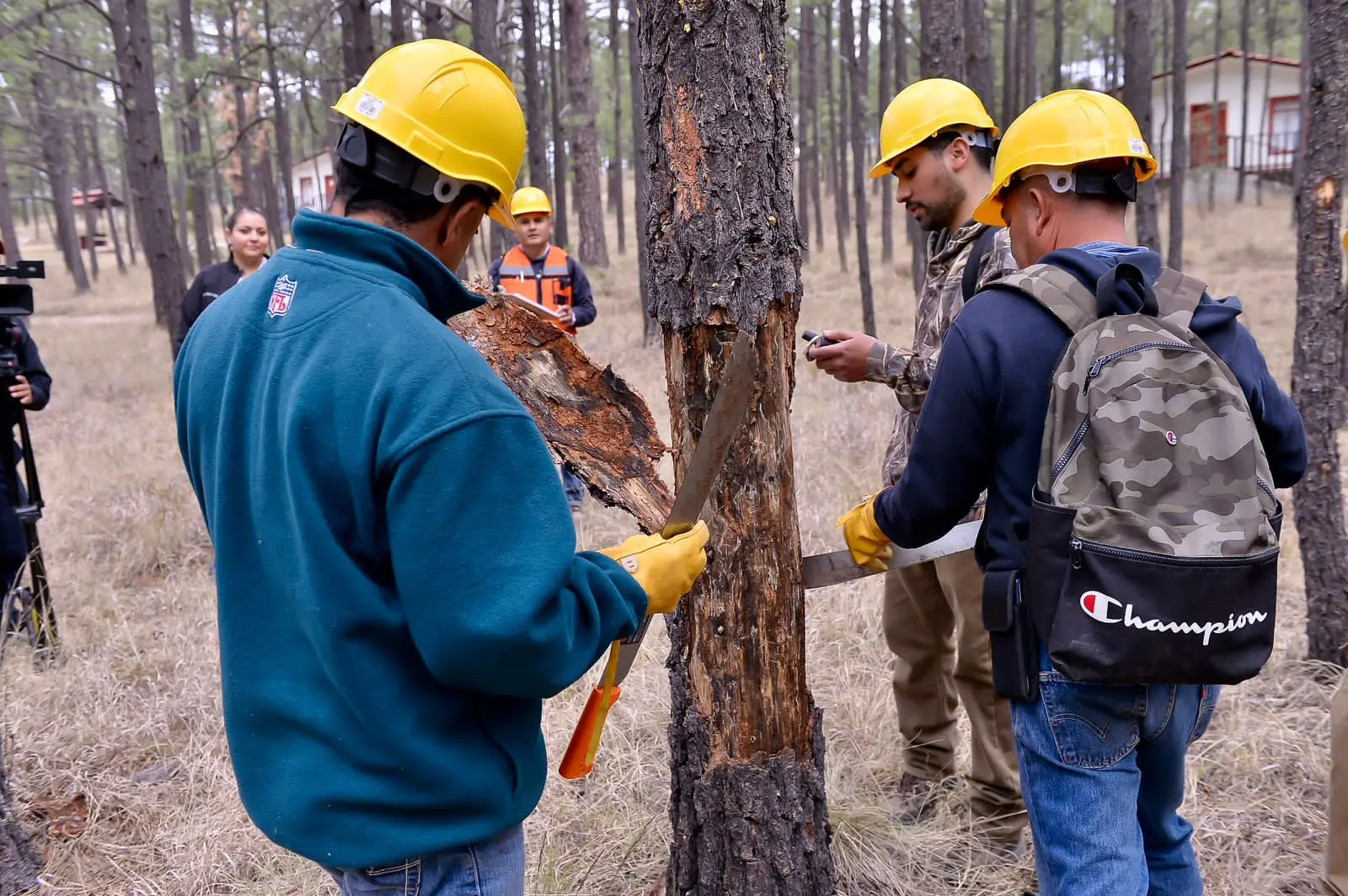 Arranca Programa de Prevención ante la temporada de incendios forestales 2024
