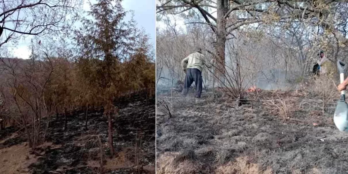 Incendio forestal en Texmelucan