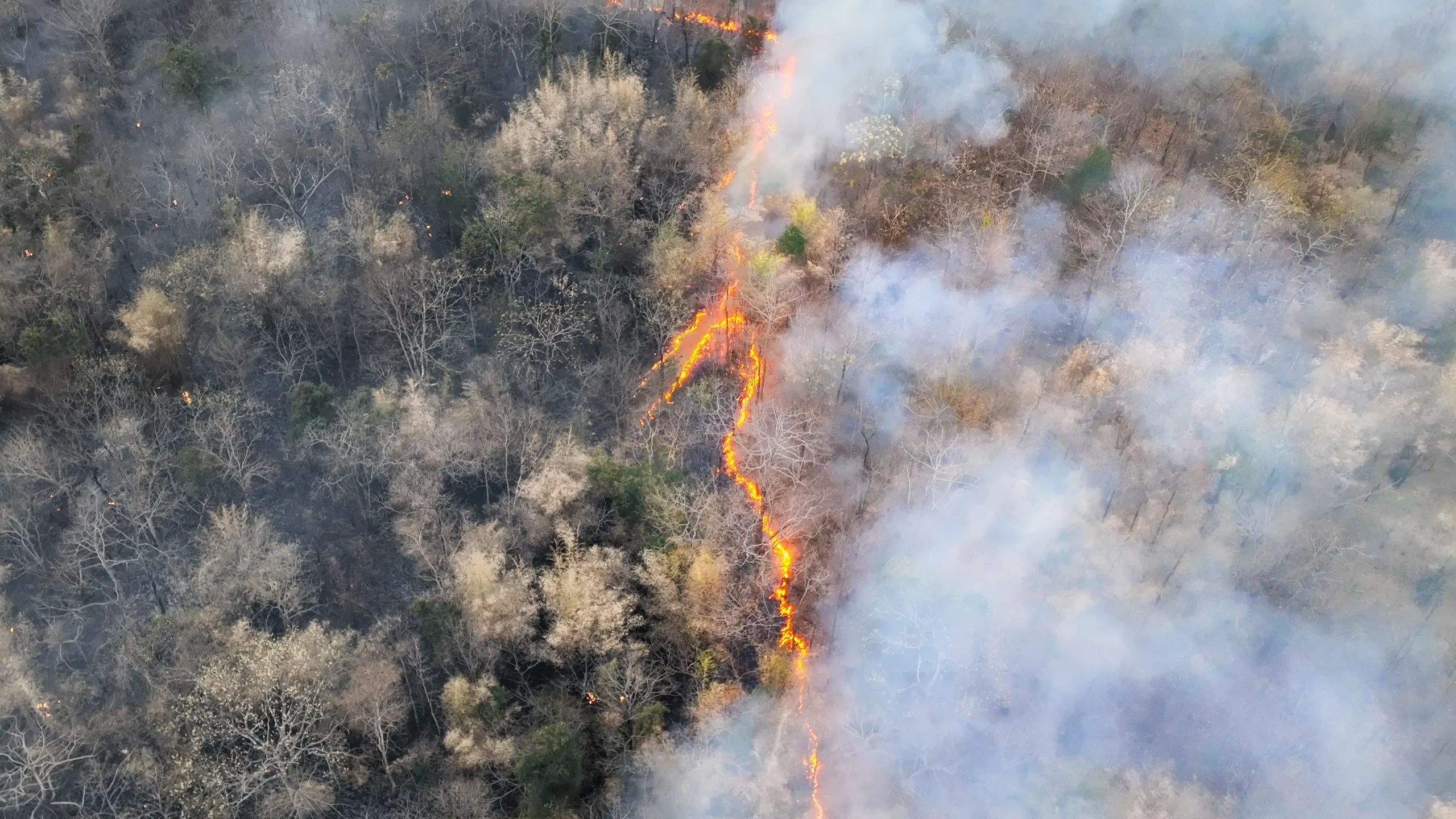 Fenómeno El Niño influye en la deuda pública de América Latina y el Caribe