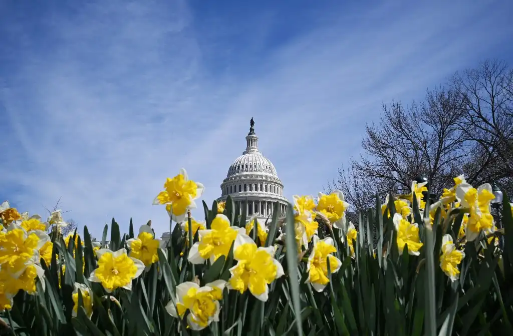 La primavera desde el Capitolio